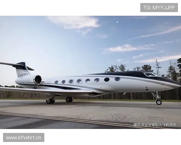 大阪刚买下比她训练时间还长的私人飞机