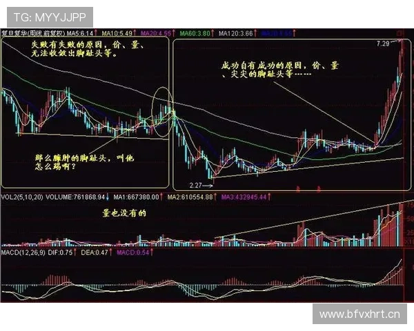 突尼斯会成为F组最大黑马吗？